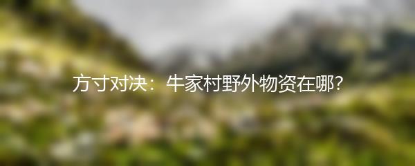方寸对决：牛家村野外物资在哪？