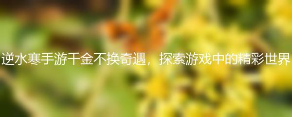 逆水寒手游千金不换奇遇，探索游戏中的精彩世界