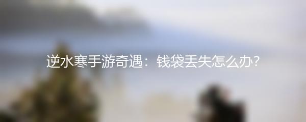 逆水寒手游奇遇：钱袋丢失怎么办？