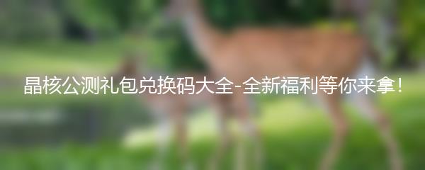 晶核公测礼包兑换码大全-全新福利等你来拿！