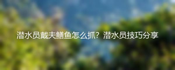 潜水员戴夫鳝鱼怎么抓？潜水员技巧分享
