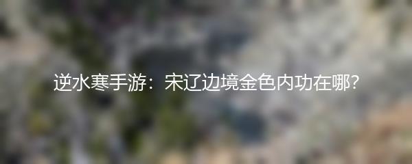 逆水寒手游：宋辽边境金色内功在哪？