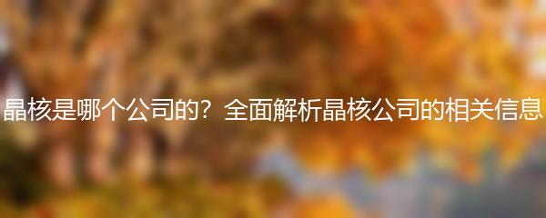 晶核是哪个公司的？全面解析晶核公司的相关信息