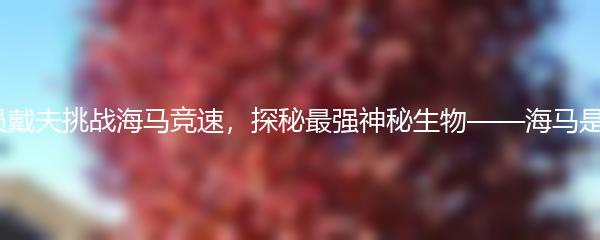 潜水员戴夫挑战海马竞速，探秘最强神秘生物——海马是什么？