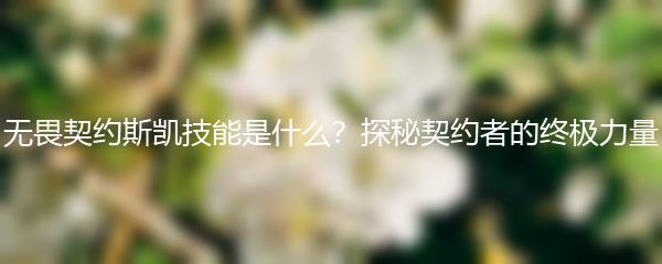 无畏契约斯凯技能是什么？探秘契约者的终极力量