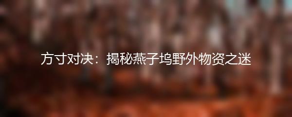 方寸对决：揭秘燕子坞野外物资之迷