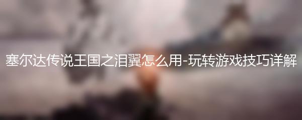 塞尔达传说王国之泪翼怎么用-玩转游戏技巧详解