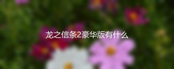 龙之信条2豪华版有什么