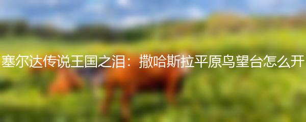 塞尔达传说王国之泪：撒哈斯拉平原鸟望台怎么开