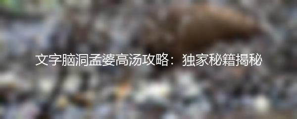 文字脑洞孟婆高汤攻略：独家秘籍揭秘