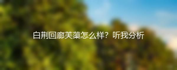 白荆回廊芙蕖怎么样？听我分析