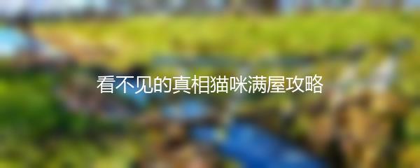 看不见的真相猫咪满屋攻略