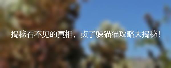 揭秘看不见的真相，贞子躲猫猫攻略大揭秘！