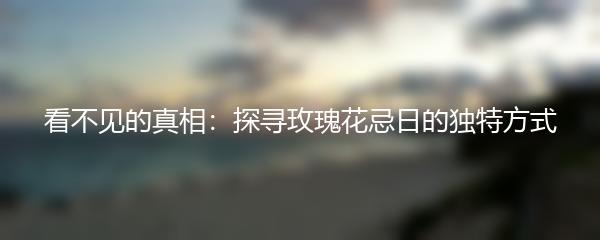 看不见的真相：探寻玫瑰花忌日的独特方式