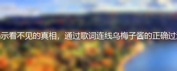 揭示看不见的真相，通过歌词连线乌梅子酱的正确过法