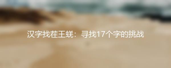 汉字找茬王蜣：寻找17个字的挑战