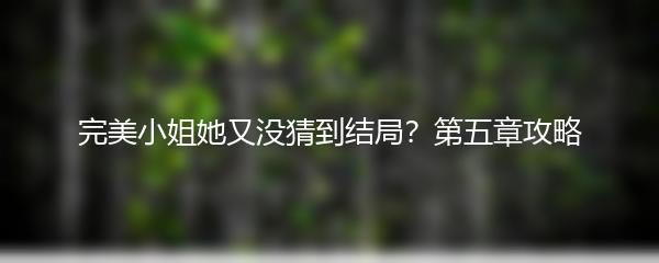 完美小姐她又没猜到结局？第五章攻略