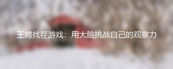 王娉找茬游戏：用大脑挑战自己的观察力