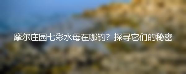 摩尔庄园七彩水母在哪钓？探寻它们的秘密