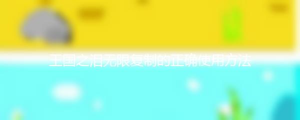 王国之泪无限复制的正确使用方法