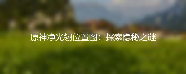 原神净光翎位置图：探索隐秘之谜