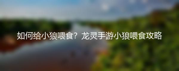 如何给小狼喂食？龙灵手游小狼喂食攻略