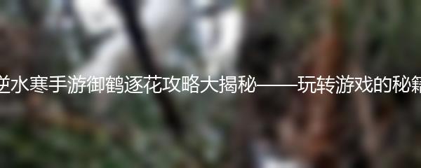 逆水寒手游御鹤逐花攻略大揭秘——玩转游戏的秘籍