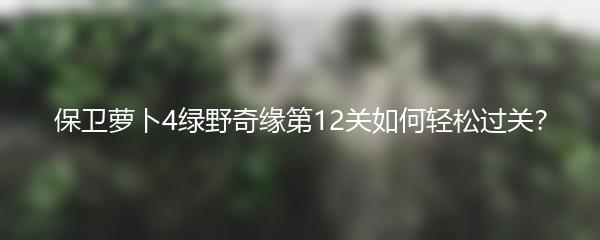 保卫萝卜4绿野奇缘第12关如何轻松过关？