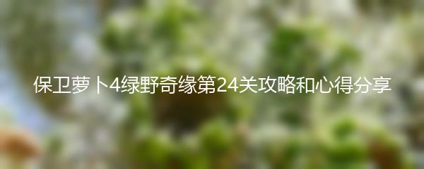 保卫萝卜4绿野奇缘第24关攻略和心得分享