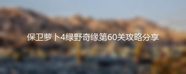 保卫萝卜4绿野奇缘第60关攻略分享