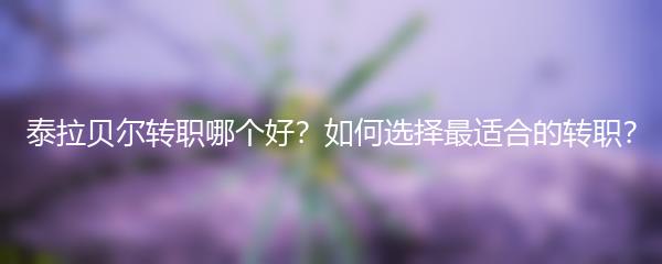 泰拉贝尔转职哪个好？如何选择最适合的转职？