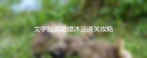 文字脑洞嬛嬛沐浴通关攻略