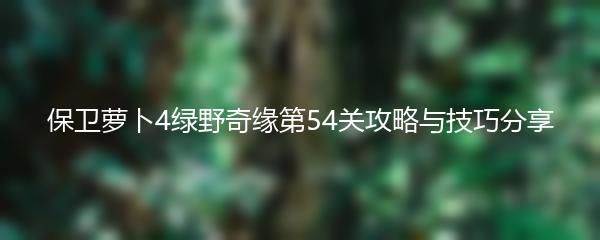 保卫萝卜4绿野奇缘第54关攻略与技巧分享