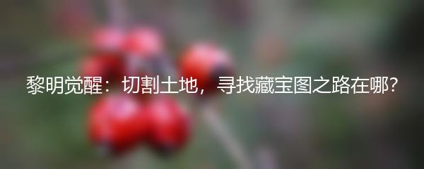 黎明觉醒：切割土地，寻找藏宝图之路在哪？