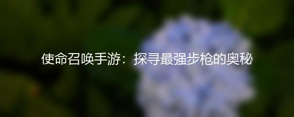 使命召唤手游：探寻最强步枪的奥秘