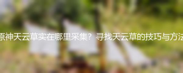 原神天云草实在哪里采集？寻找天云草的技巧与方法