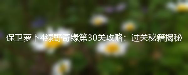 保卫萝卜4绿野奇缘第30关攻略：过关秘籍揭秘