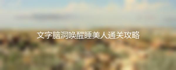 文字脑洞唤醒睡美人通关攻略