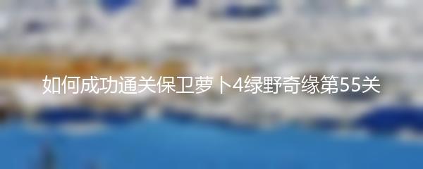 如何成功通关保卫萝卜4绿野奇缘第55关