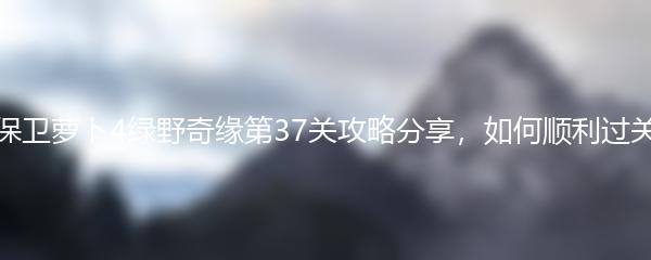 保卫萝卜4绿野奇缘第37关攻略分享，如何顺利过关