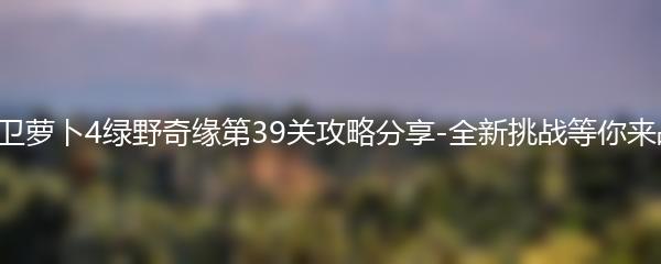 保卫萝卜4绿野奇缘第39关攻略分享-全新挑战等你来战！