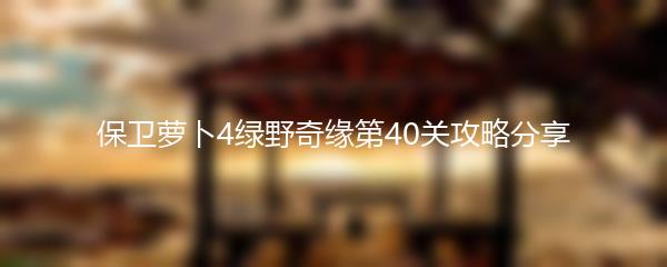 保卫萝卜4绿野奇缘第40关攻略分享