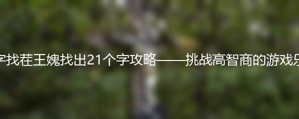 汉字找茬王媿找出21个字攻略——挑战高智商的游戏乐趣