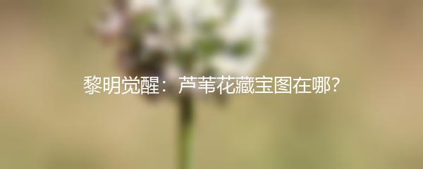 黎明觉醒：芦苇花藏宝图在哪？