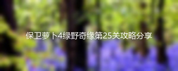 保卫萝卜4绿野奇缘第25关攻略分享