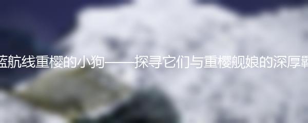 碧蓝航线重樱的小狗——探寻它们与重樱舰娘的深厚羁绊