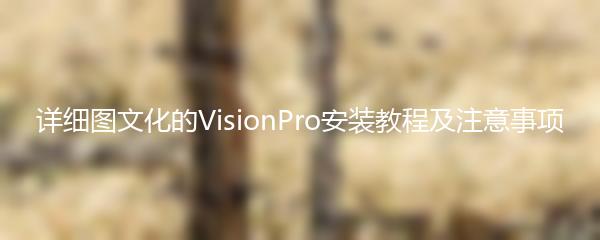 详细图文化的VisionPro安装教程及注意事项