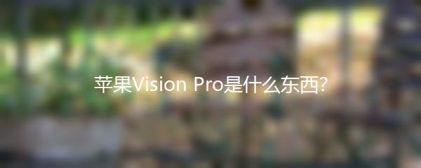 苹果Vision Pro是什么东西？