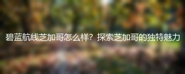 碧蓝航线芝加哥怎么样？探索芝加哥的独特魅力