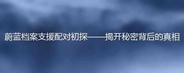 蔚蓝档案支援配对初探——揭开秘密背后的真相